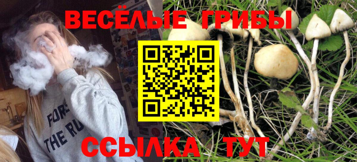 Гатчина  Псилоцибиновые грибы Psilocybe  Псилоцибиновые грибы MAGIC MUSHROOMS  Вход с VPN 