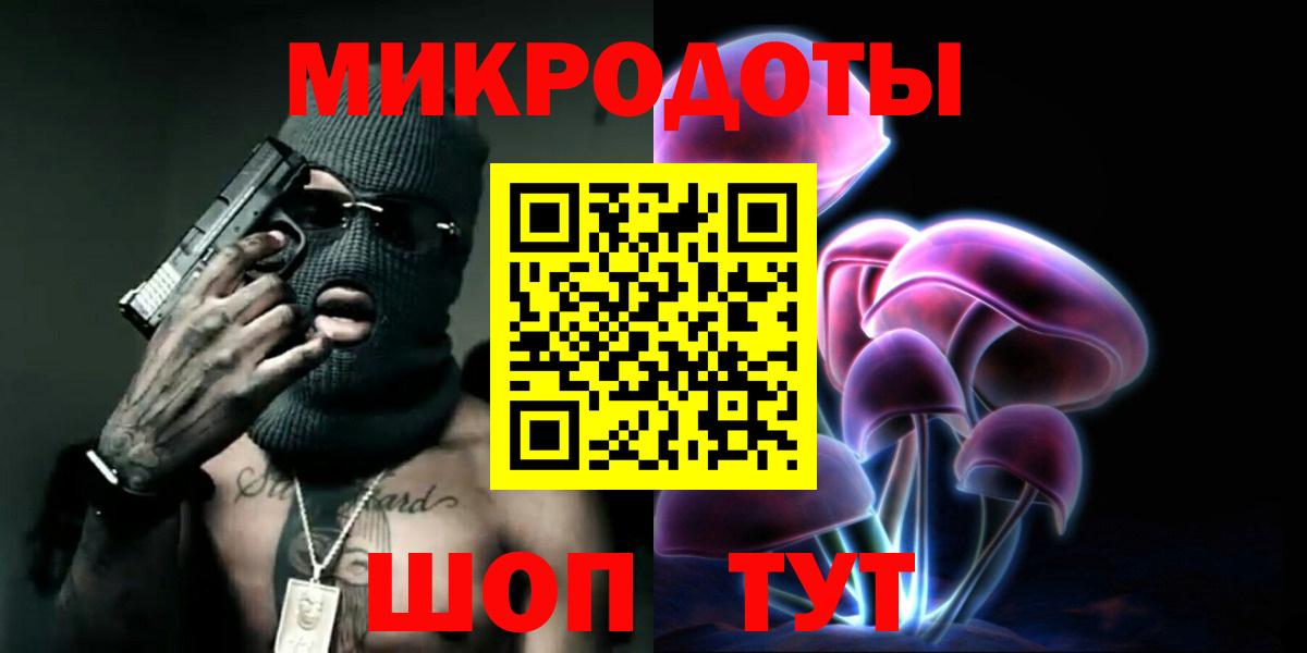 Галлюциногенные грибы Psilocybine cubensis Гатчина